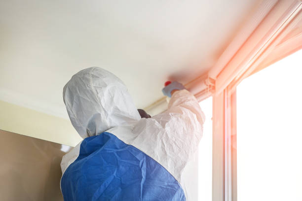 Best Commercial Mold Inspection in Mckees Rocks, PA