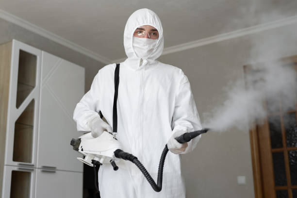 Best Residential Mold Inspection & Testing in Mckees Rocks, PA